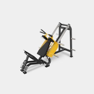 Hack Squat